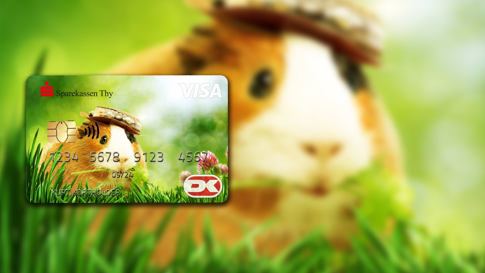 Betalingskort med marsvin