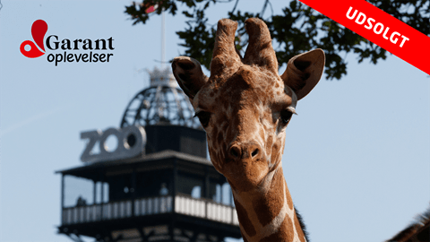 København Zoo udsolgt