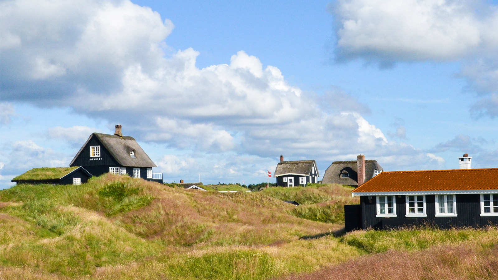 Klithede med udsigt til fire sommerhuse