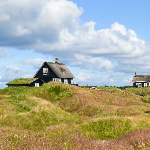 Klithede med udsigt til to sommerhuse